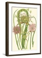 Summer Garden VI-Anne Pratt-Framed Art Print