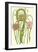 Summer Garden VI-Anne Pratt-Framed Art Print