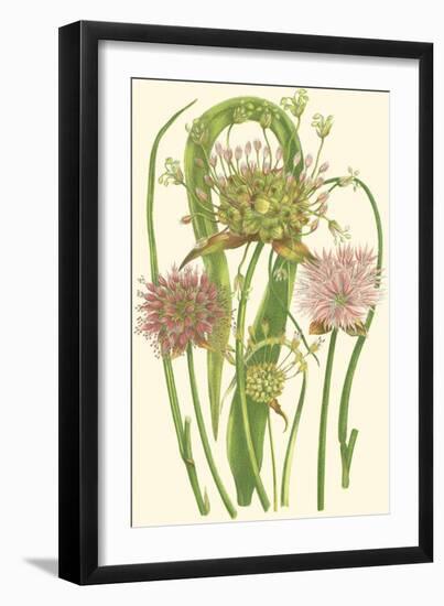 Summer Garden VI-Anne Pratt-Framed Art Print