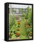 Summer Garden with Mixed Vegetables and Flowers Growing in Raised Beds with Marigolds, Norfolk, UK-Gary Smith-Framed Stretched Canvas