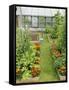 Summer Garden with Mixed Vegetables and Flowers Growing in Raised Beds with Marigolds, Norfolk, UK-Gary Smith-Framed Stretched Canvas