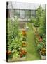 Summer Garden with Mixed Vegetables and Flowers Growing in Raised Beds with Marigolds, Norfolk, UK-Gary Smith-Stretched Canvas