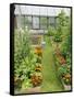 Summer Garden with Mixed Vegetables and Flowers Growing in Raised Beds with Marigolds, Norfolk, UK-Gary Smith-Framed Stretched Canvas