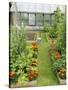 Summer Garden with Mixed Vegetables and Flowers Growing in Raised Beds with Marigolds, Norfolk, UK-Gary Smith-Stretched Canvas