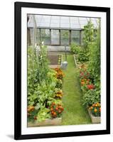 Summer Garden with Mixed Vegetables and Flowers Growing in Raised Beds with Marigolds, Norfolk, UK-Gary Smith-Framed Premium Photographic Print