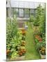 Summer Garden with Mixed Vegetables and Flowers Growing in Raised Beds with Marigolds, Norfolk, UK-Gary Smith-Mounted Premium Photographic Print