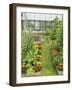 Summer Garden with Mixed Vegetables and Flowers Growing in Raised Beds with Marigolds, Norfolk, UK-Gary Smith-Framed Photographic Print