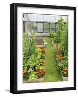 Summer Garden with Mixed Vegetables and Flowers Growing in Raised Beds with Marigolds, Norfolk, UK-Gary Smith-Framed Photographic Print