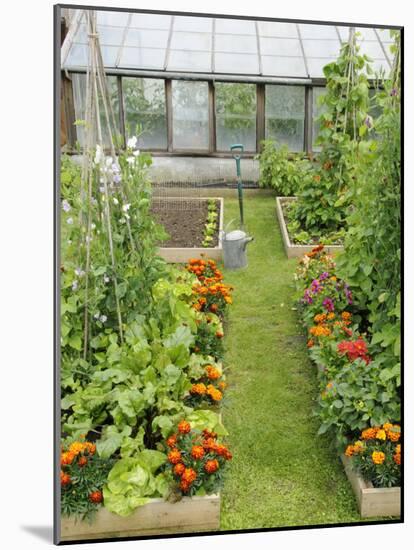 Summer Garden with Mixed Vegetables and Flowers Growing in Raised Beds with Marigolds, Norfolk, UK-Gary Smith-Mounted Photographic Print