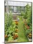 Summer Garden with Mixed Vegetables and Flowers Growing in Raised Beds with Marigolds, Norfolk, UK-Gary Smith-Mounted Photographic Print