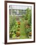 Summer Garden with Mixed Vegetables and Flowers Growing in Raised Beds with Marigolds, Norfolk, UK-Gary Smith-Framed Photographic Print