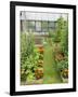 Summer Garden with Mixed Vegetables and Flowers Growing in Raised Beds with Marigolds, Norfolk, UK-Gary Smith-Framed Photographic Print