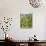 Summer Garden with Mixed Vegetables and Flowers Growing in Raised Beds with Marigolds, Norfolk, UK-Gary Smith-Photographic Print displayed on a wall