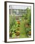 Summer Garden with Mixed Vegetables and Flowers Growing in Raised Beds with Marigolds, Norfolk, UK-Gary Smith-Framed Photographic Print
