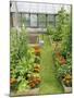 Summer Garden with Mixed Vegetables and Flowers Growing in Raised Beds with Marigolds, Norfolk, UK-Gary Smith-Mounted Photographic Print