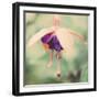 Summer Garden-John Harper-Framed Giclee Print