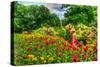 Summer Garden-Robert Goldwitz-Stretched Canvas