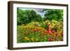 Summer Garden-Robert Goldwitz-Framed Photographic Print