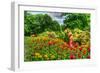 Summer Garden-Robert Goldwitz-Framed Photographic Print