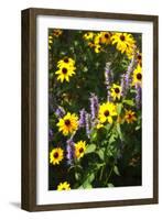 Summer Glory I-Alan Hausenflock-Framed Photographic Print