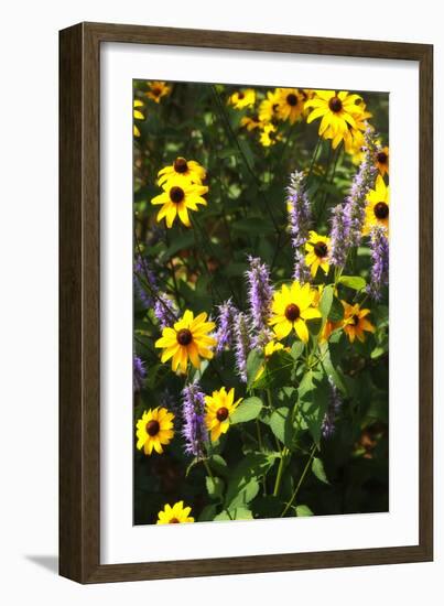 Summer Glory I-Alan Hausenflock-Framed Photographic Print