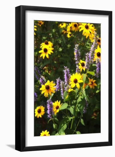 Summer Glory I-Alan Hausenflock-Framed Photographic Print