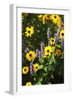 Summer Glory I-Alan Hausenflock-Framed Photographic Print