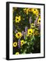 Summer Glory I-Alan Hausenflock-Framed Photographic Print