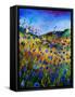 Summer Glory-Pol Ledent-Framed Stretched Canvas