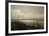 Summer Grasses-Malcolm Sanders-Framed Giclee Print