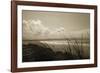 Summer Grasses-Malcolm Sanders-Framed Giclee Print