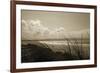 Summer Grasses-Malcolm Sanders-Framed Giclee Print