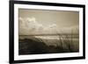 Summer Grasses-Malcolm Sanders-Framed Giclee Print