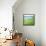 Summer green-Hyunah Kim-Framed Stretched Canvas displayed on a wall