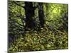 Summer Green-John Morrow-Mounted Giclee Print