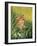 Summer - Green-Joh Naito-Framed Giclee Print