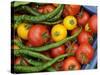 Summer Greenhouse Harvest of Tomatoes and Chillies in Rustic Trug, Norfolk, UK-Gary Smith-Stretched Canvas