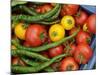 Summer Greenhouse Harvest of Tomatoes and Chillies in Rustic Trug, Norfolk, UK-Gary Smith-Mounted Photographic Print