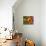 Summer Greenhouse Harvest of Tomatoes and Chillies in Rustic Trug, Norfolk, UK-Gary Smith-Photographic Print displayed on a wall