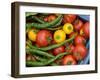 Summer Greenhouse Harvest of Tomatoes and Chillies in Rustic Trug, Norfolk, UK-Gary Smith-Framed Photographic Print