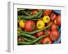 Summer Greenhouse Harvest of Tomatoes and Chillies in Rustic Trug, Norfolk, UK-Gary Smith-Framed Photographic Print