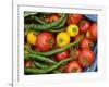 Summer Greenhouse Harvest of Tomatoes and Chillies in Rustic Trug, Norfolk, UK-Gary Smith-Framed Photographic Print