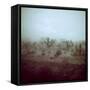 Summer Hail and Thunderstorm Falling on Desert-Loomis Dean-Framed Stretched Canvas