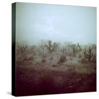 Summer Hail and Thunderstorm Falling on Desert-Loomis Dean-Stretched Canvas