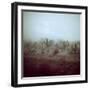 Summer Hail and Thunderstorm Falling on Desert-Loomis Dean-Framed Photographic Print