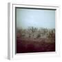 Summer Hail and Thunderstorm Falling on Desert-Loomis Dean-Framed Photographic Print