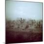 Summer Hail and Thunderstorm Falling on Desert-Loomis Dean-Mounted Photographic Print