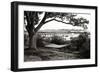 Summer Hammock I-Alan Hausenflock-Framed Photographic Print