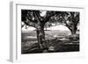 Summer Hammock II-Alan Hausenflock-Framed Photographic Print