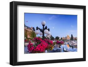 Summer hanging flower baskets, Inner Harbor, Victoria, British Columbia Capitol Parliament Building-Stuart Westmorland-Framed Photographic Print